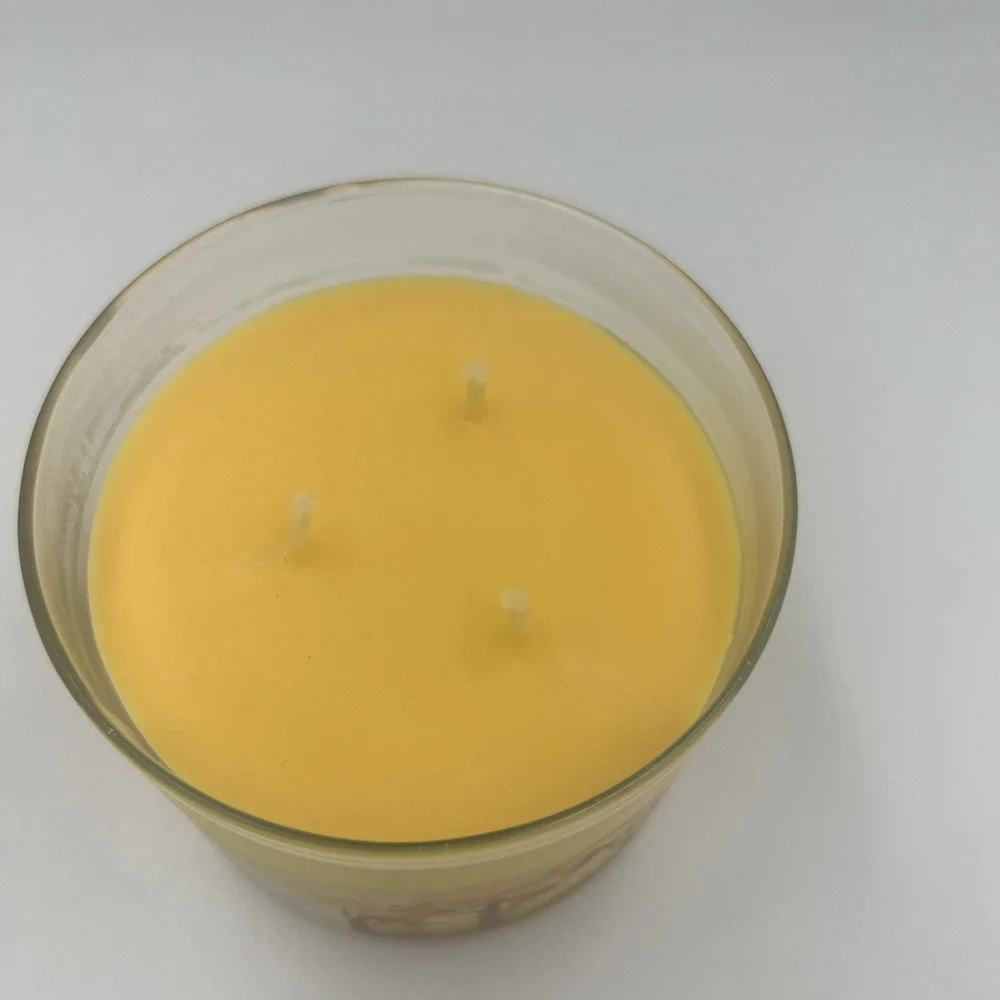 LEAVES‎ Big 3-Wick Candle Bath & Body Works Autumn Clove Spice Nectar Apple Fall